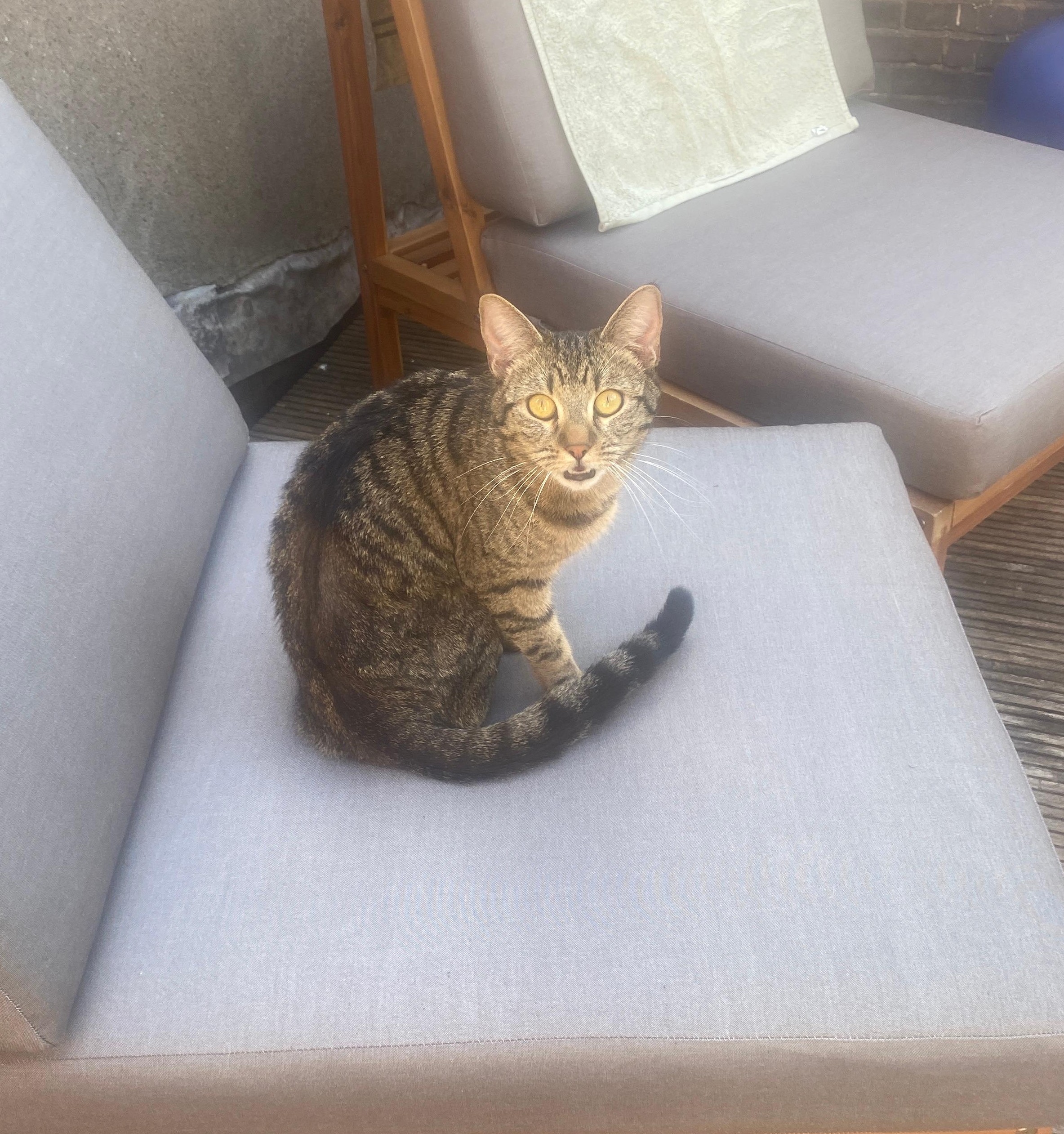 Sisi (weer thuis)