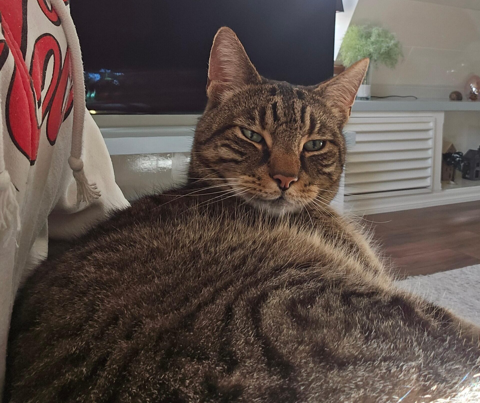 Sammie
