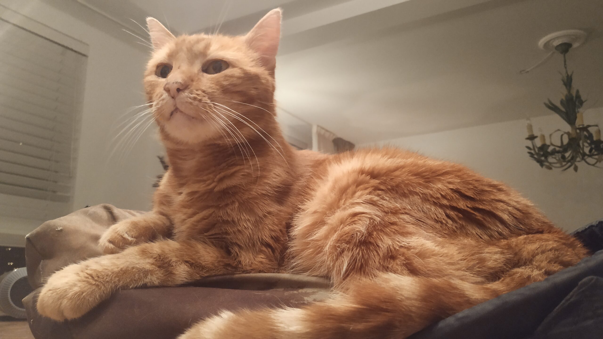 Thomas